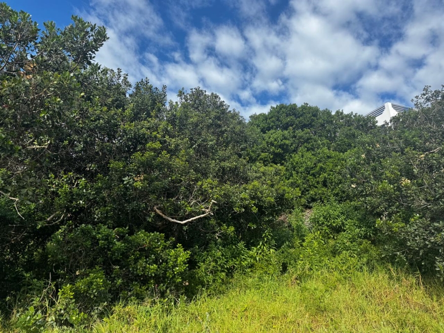0 Bedroom Property for Sale in Paradise Beach Eastern Cape